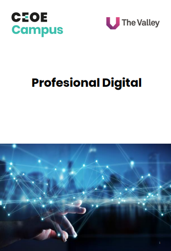 Captura de pantalla (155)