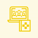 field_dsj_typology_of_training-17744a2647