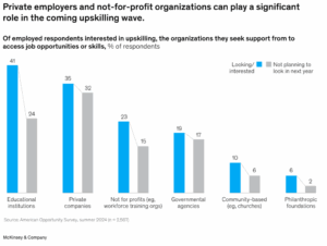 McKinsey & Co, 2025. Apoyo a la capacitación por tipo de organización