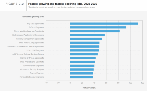 Los empleos con mayor crecimiento entre 2025 y 2030 | Fuente: Informe sobre el futuro del empleo 2025, basado en datos de la Organización Internacional del Trabajo (OIT).